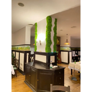 Decor organic cu licheni – Restaurant Hotel International București