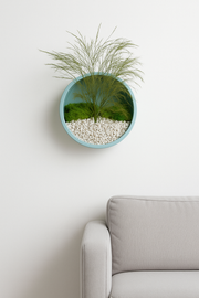 „Decor rotund de perete, ramă albastră, 18 cm, cu licheni și plante stabilizate, fără întreținere