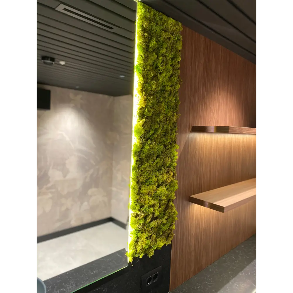 Decor vertical din licheni stabilizați cu iluminare LED – Eleganță naturală pentru băi moderne