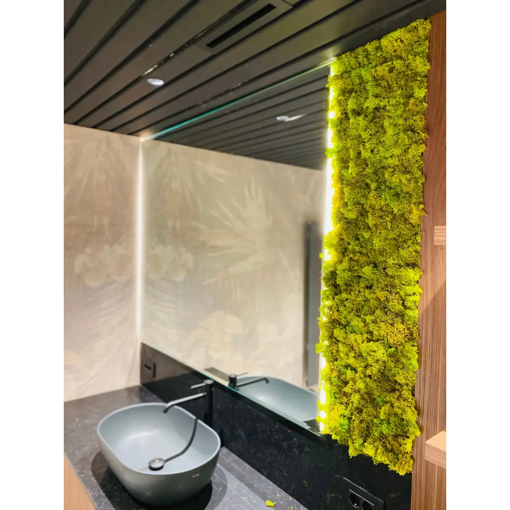 Decor vertical din licheni stabilizați cu iluminare LED – Eleganță naturală pentru băi moderne