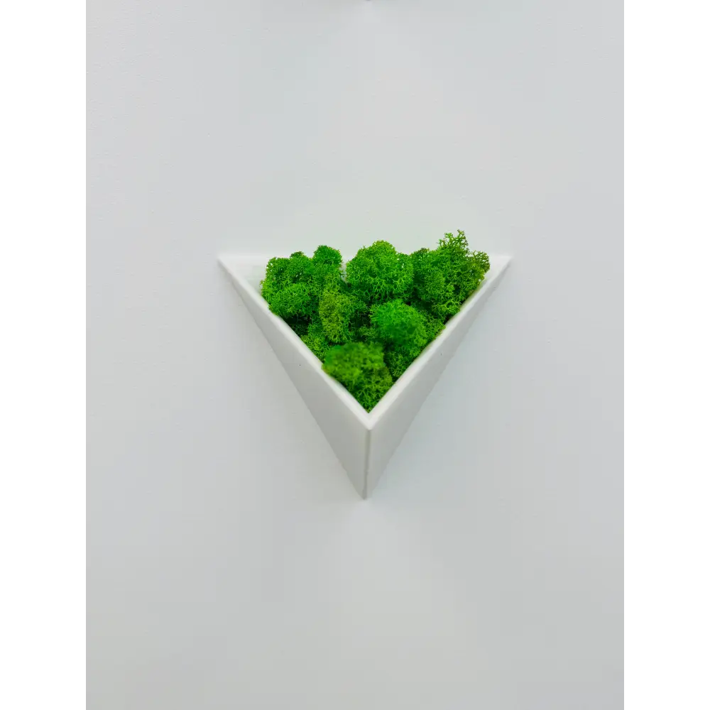 Decorațiune geometrică de perete cu licheni stabilizați alba