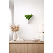 Decorațiune geometrică de perete cu licheni stabilizați alba