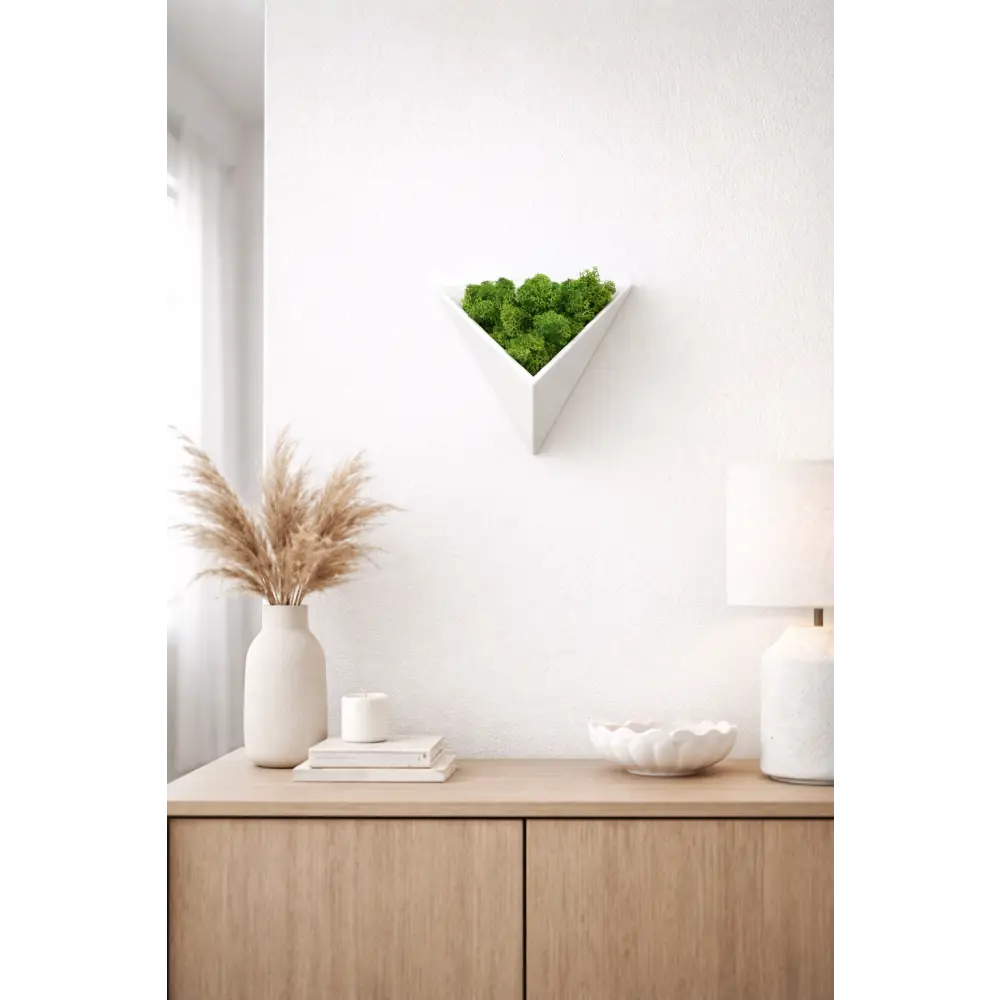 Decorațiune geometrică de perete cu licheni stabilizați alba