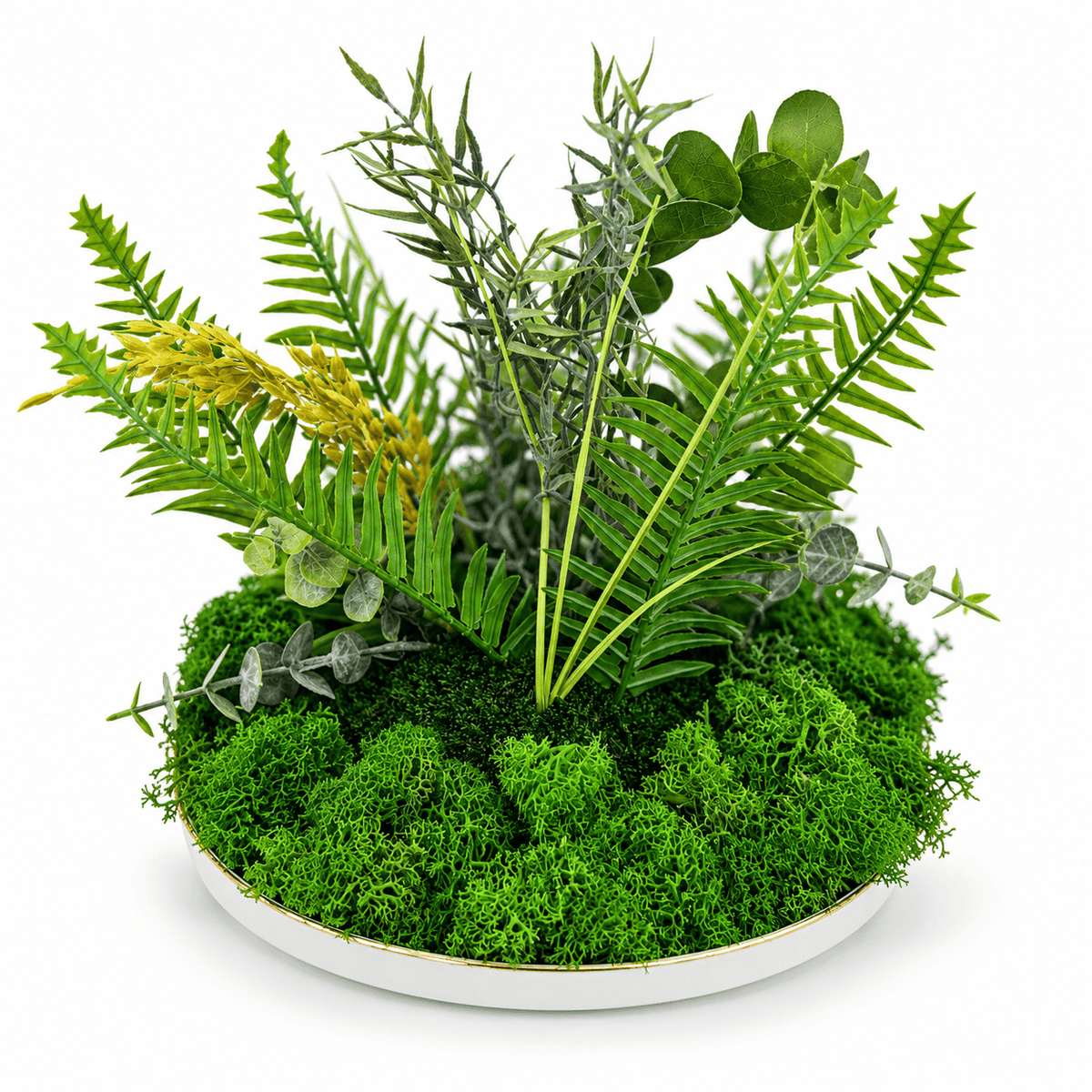 Decorațiune de masă cu licheni și plante artificiale în suport ceramic alb cu margine aurie, pe fundal alb
