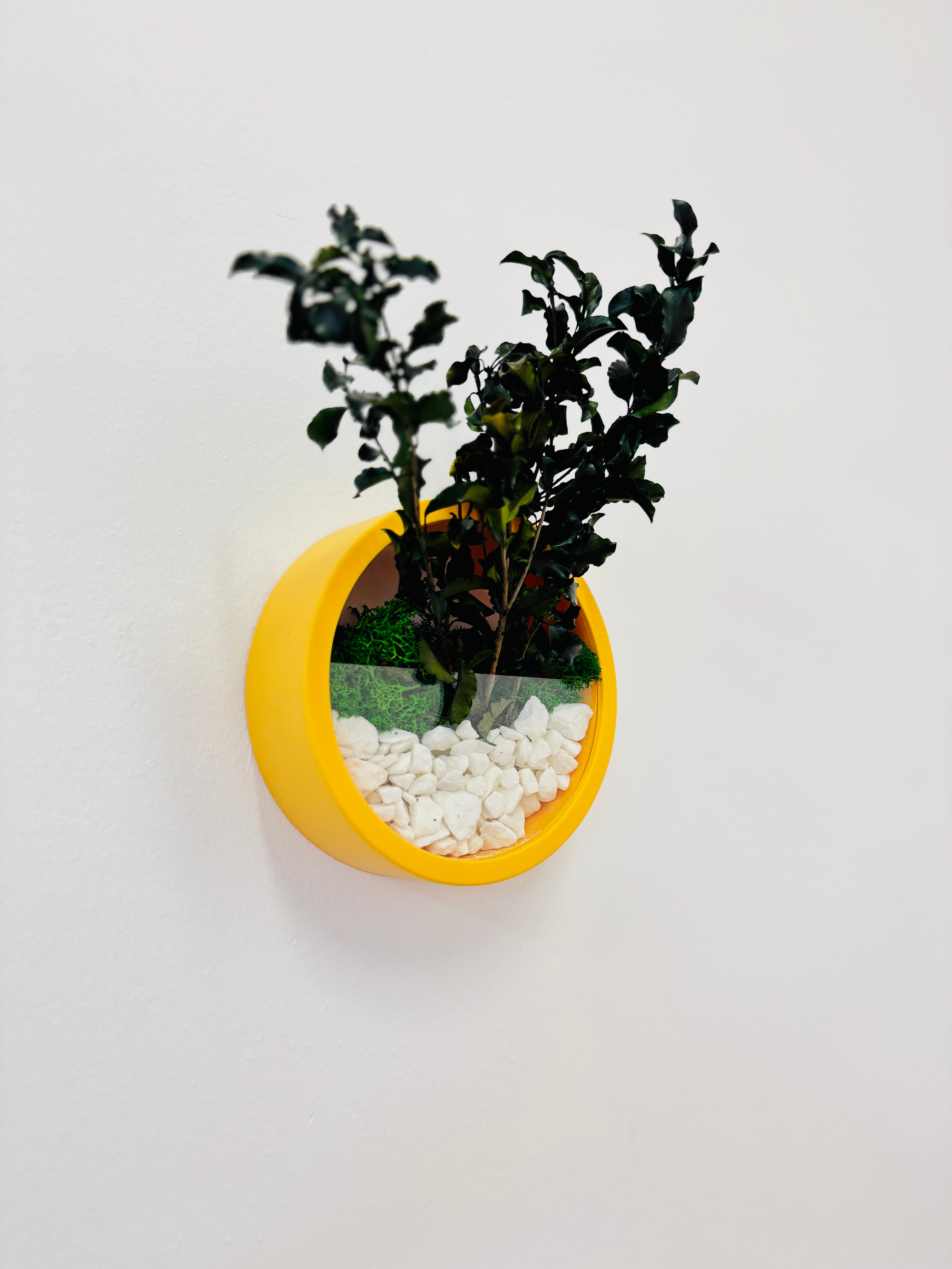 Decorațiune modernă pentru perete, 18 cm, cu plante verzi și ramă galbenă