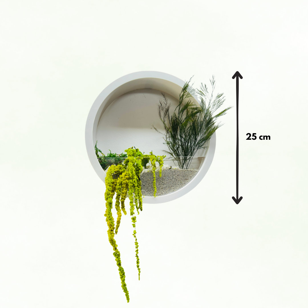 jardiniera perete, decor perete rotund, plante stabilizate, licheni, decor natural, design verde, cadou verde, decor interior

