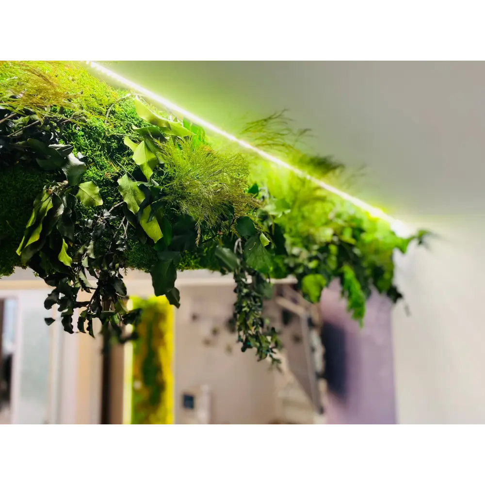 Grindă decorativă cu muschi si plante stabilizate – iluminare LED
