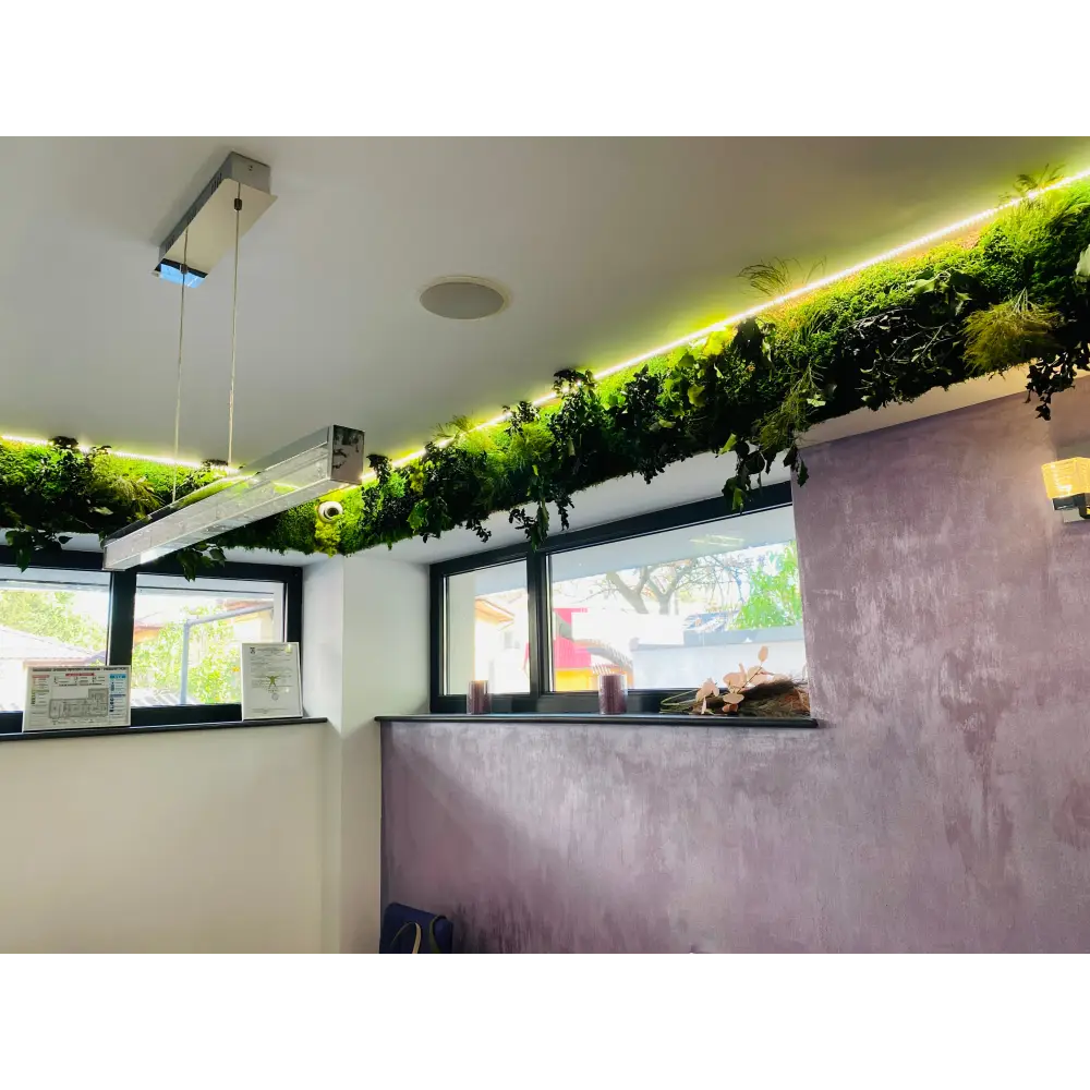 Grindă decorativă cu muschi si plante stabilizate – iluminare LED
