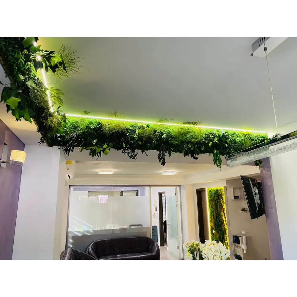 Grindă decorativă cu muschi si plante stabilizate – iluminare LED