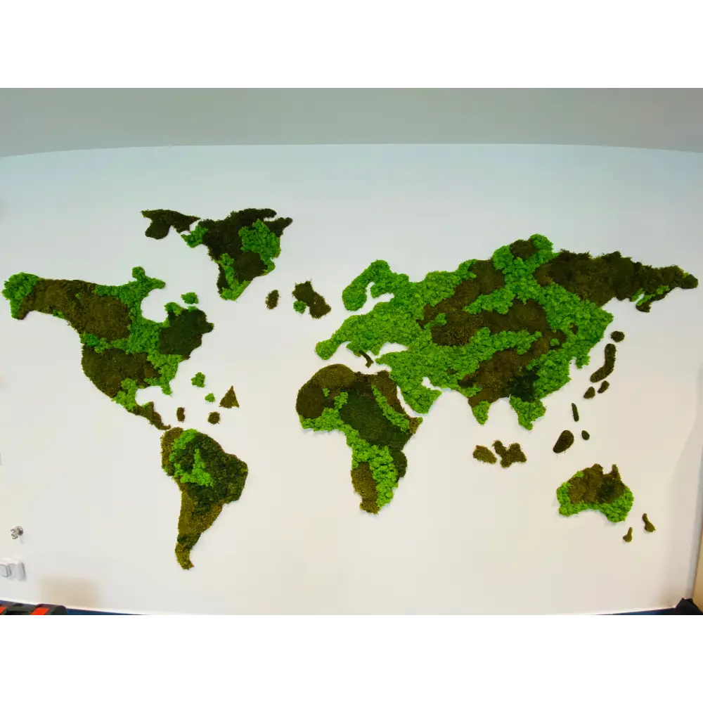 Harta lumii realizată din licheni stabilizați în nuanțe naturale de verde, montată pe perete într-un decor modern.