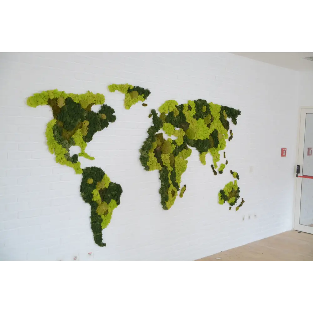🌍 Harta lumii din licheni stabilizați 🌿