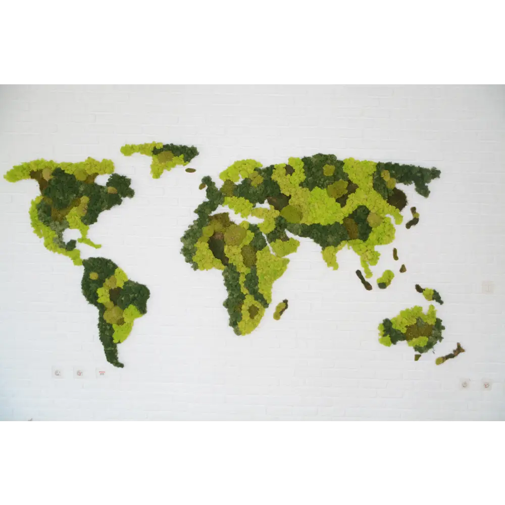 🌍 Harta lumii din licheni stabilizați 🌿