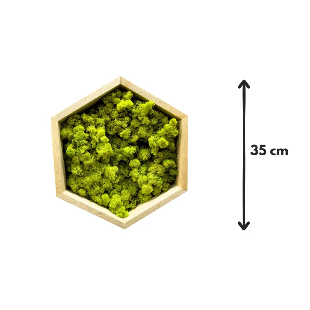 Hexagon decorativ cu licheni stabilizați – ramă lemn 35 cm