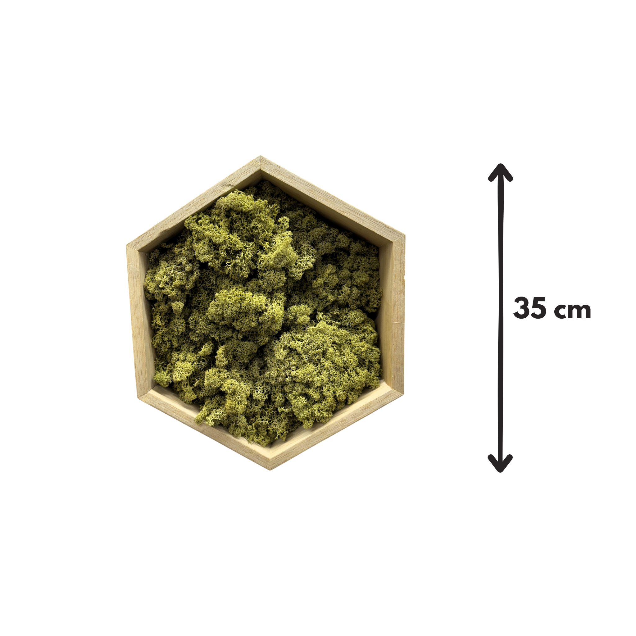 Hexagon decorativ cu licheni stabilizați – ramă lemn 35 cm