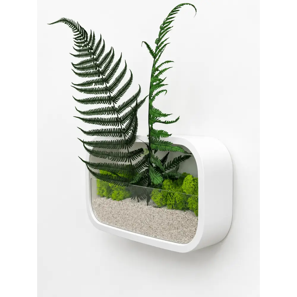 Jardinieră decorativă de perete dreptunghiulară