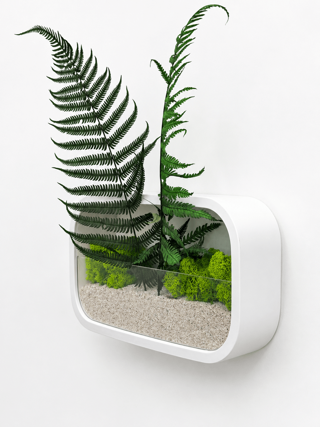 Jardinieră decorativă de perete | Alba