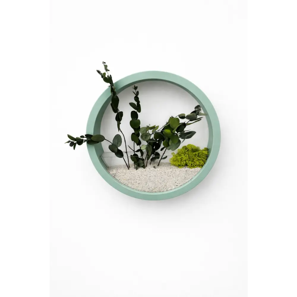 Panou decorativ circular cu licheni naturali și frunze stabilizate, decor vegetal minimalist pentru living sau birou