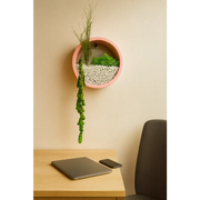 Tablou decorativ rotund de 18 cm cu licheni și plante stabilizate, fără apă și fără soare, ideal pentru casă sau birou