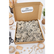 Cutie cu licheni de 300 g pentru proiecte, scoli, gradinite, licheni ieftini 