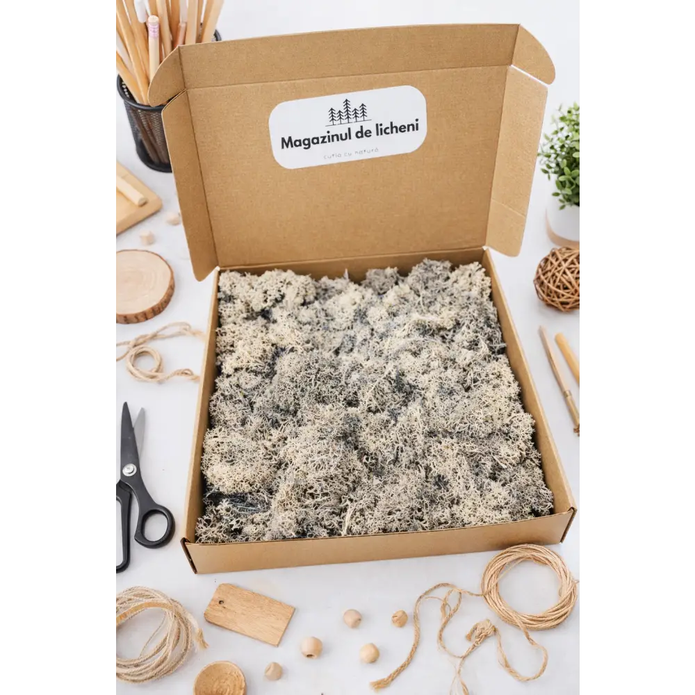 Cutie cu licheni de 300 g pentru proiecte, scoli, gradinite, licheni ieftini 