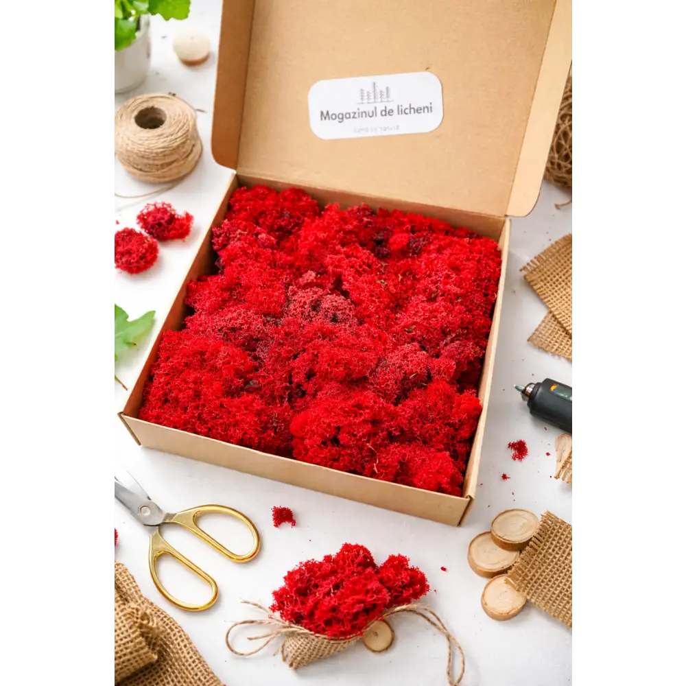 Licheni stabilizați decorativi Rosu – cutie 30×30 cm | 300 g