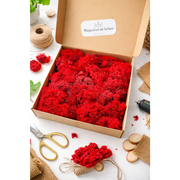 Licheni stabilizați decorativi Rosu – cutie 30×30 cm | 300 g