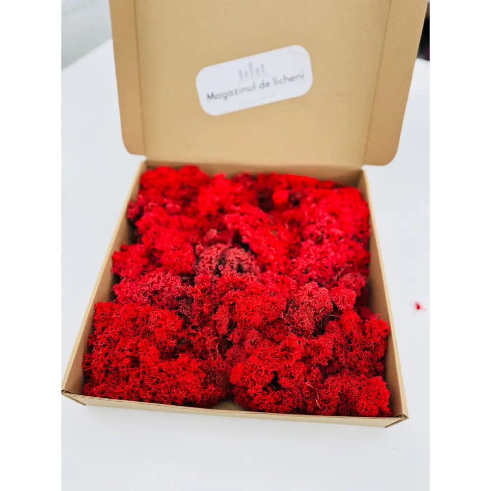 Licheni stabilizați decorativi Rosu – cutie 30×30 cm | 300 g