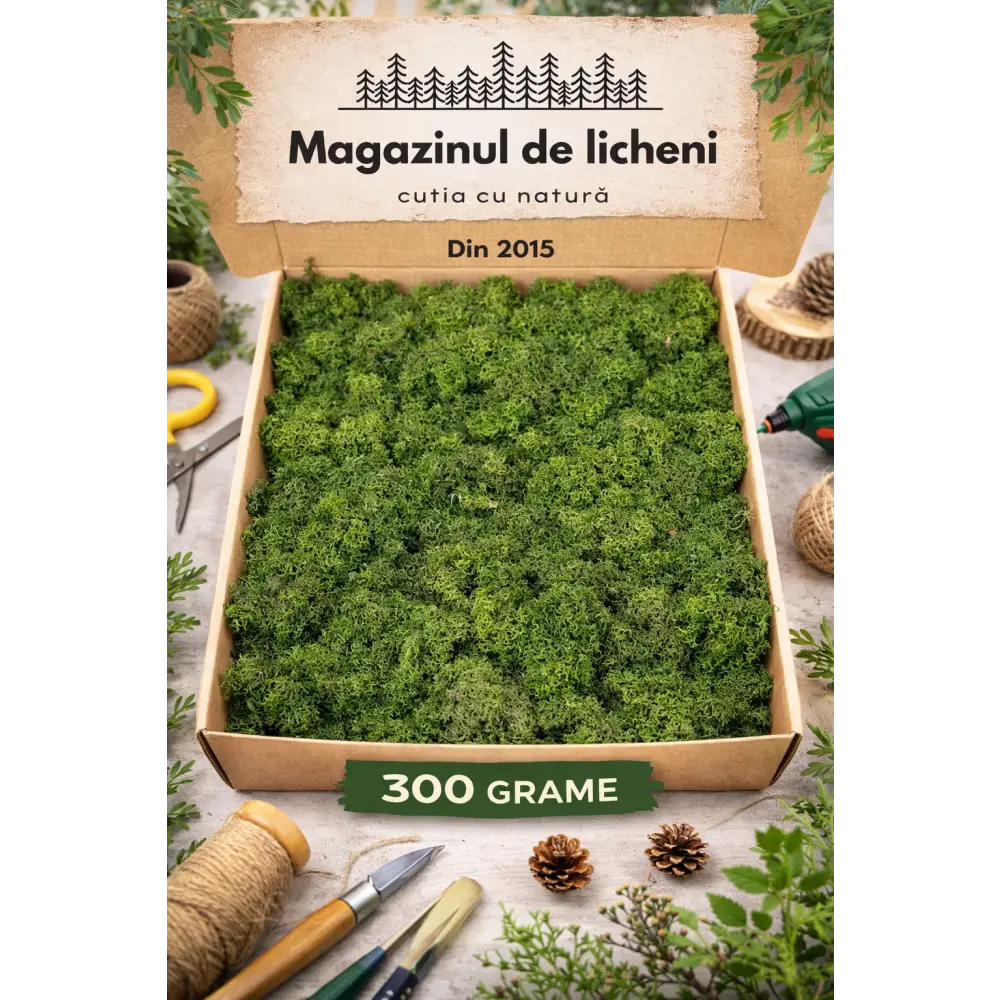 Licheni stabilizați decorativi Verde Brad– cutie 30×30 cm | 300 g
