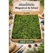 Licheni stabilizați decorativi Verde Brad– cutie 30×30 cm | 300 g