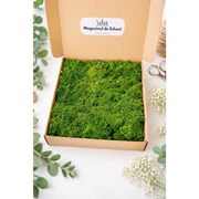 Licheni stabilizați decorativi Verde Inchis – cutie 30×30 cm | 300 g - 300 gr
