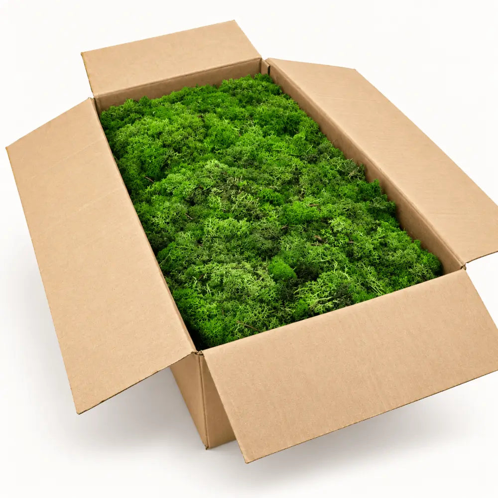 Licheni stabilizați decorativi Verde Inchis – cutie 30×30 cm | 300 g - 5 kg
