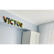 Litere decorative din licheni pentru camera copilului | Victor