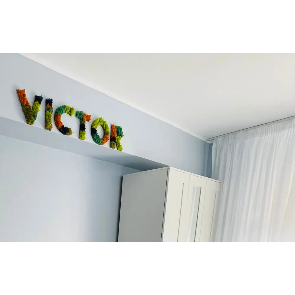 Litere decorative din licheni pentru camera copilului | Victor