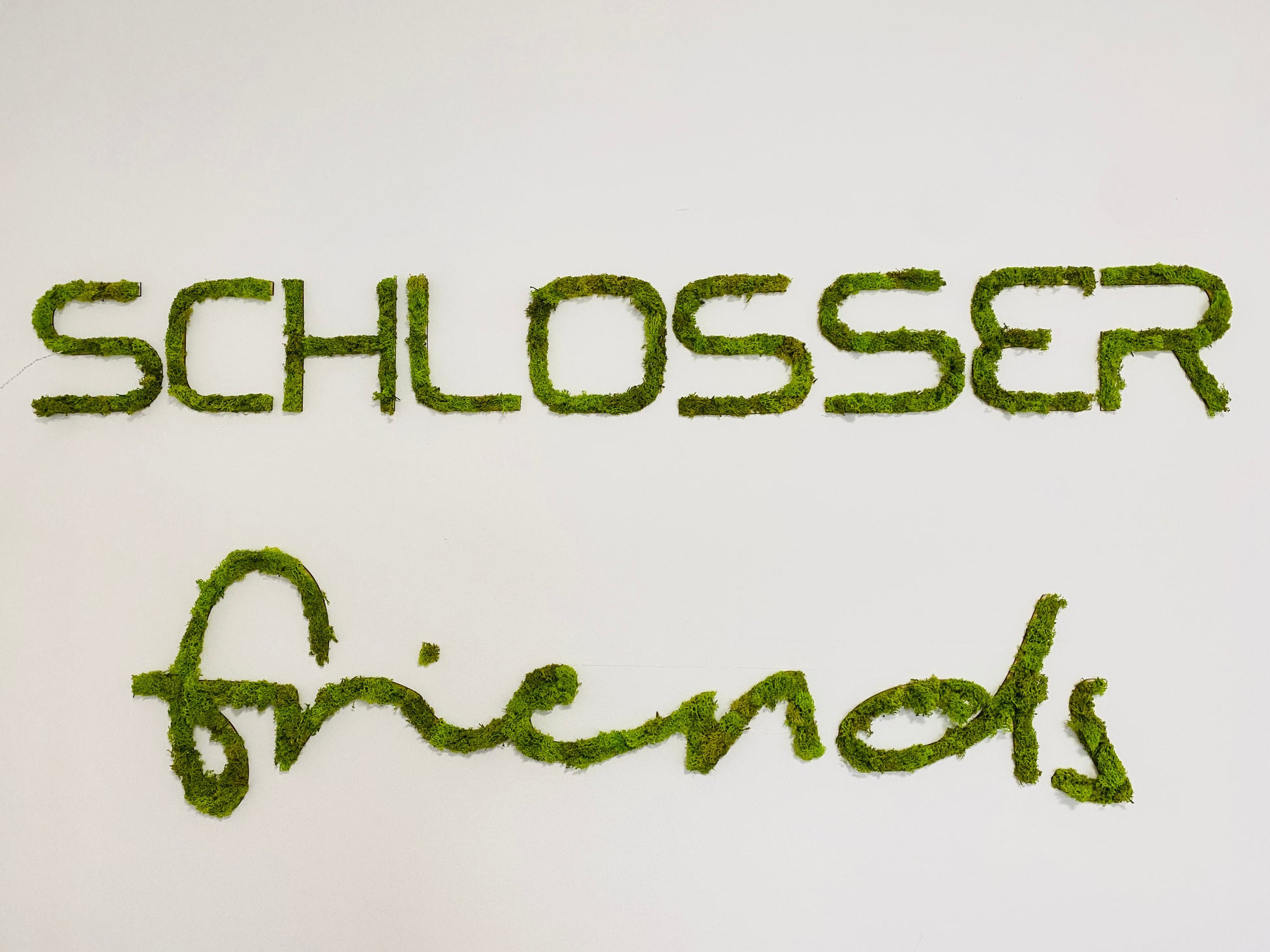 Logo personalizat realizat din licheni stabilizați verde natural, montat pe perete într-un spațiu comercial modern.
