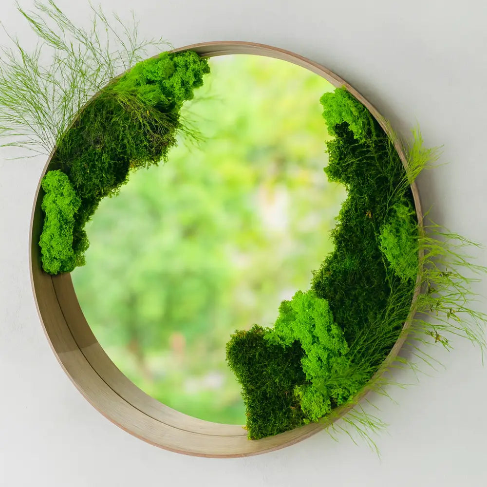 Oglindă rotundă cu mușchi stabilizați și ramă din lemn natural – un accent natural, modern și elegant pentru orice încăpere.

