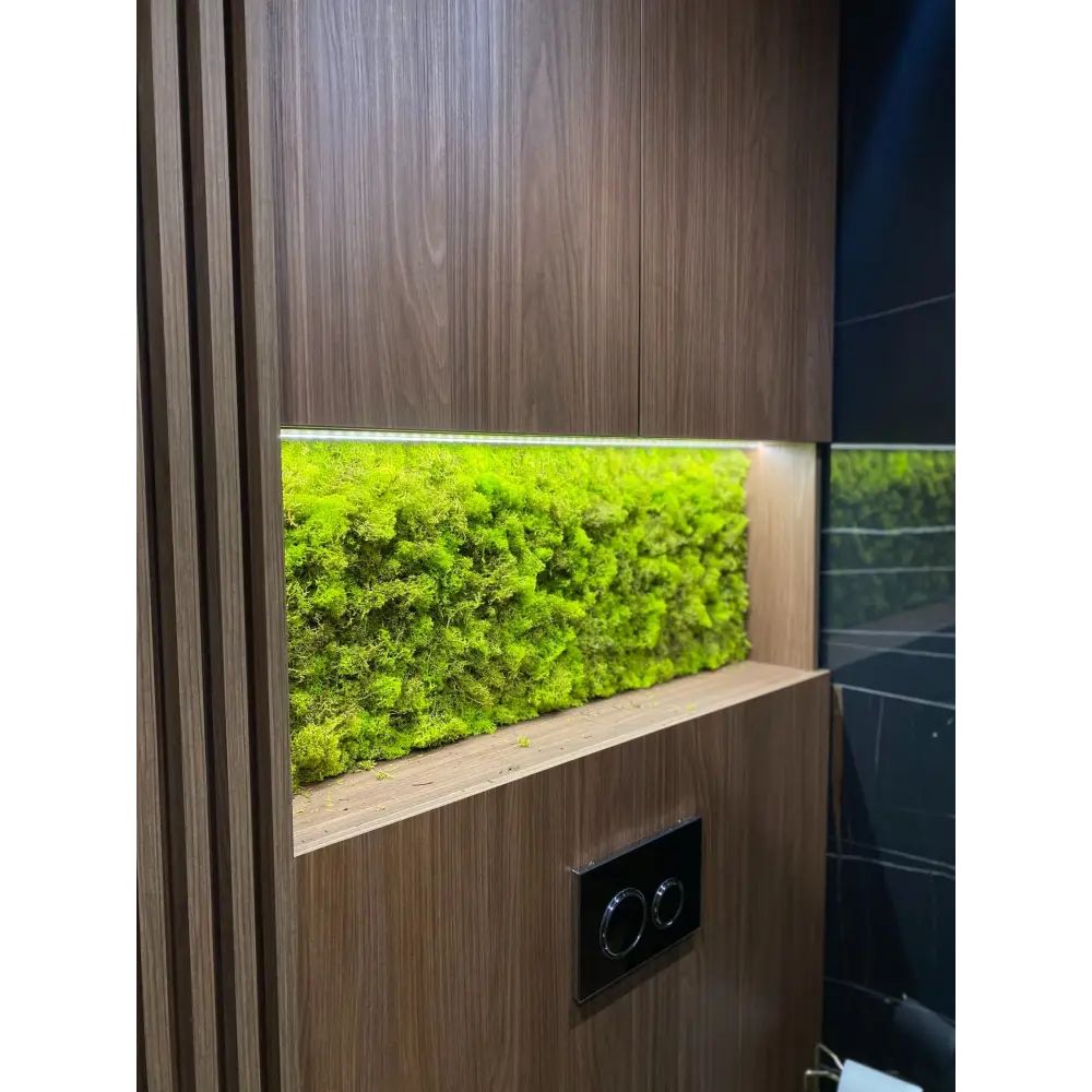 Panou baie licheni decorativi 100×35 cm