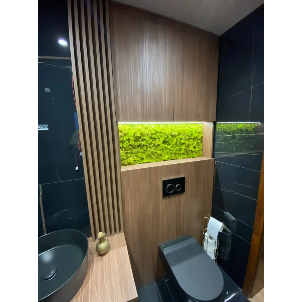 Panou baie licheni decorativi 100×35 cm