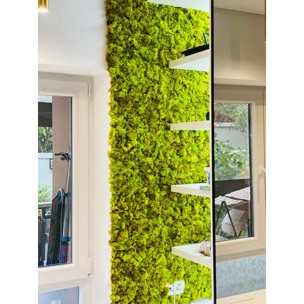 Panou decorativ cu licheni pentru perete și rafturi – Verde Natural și Modern