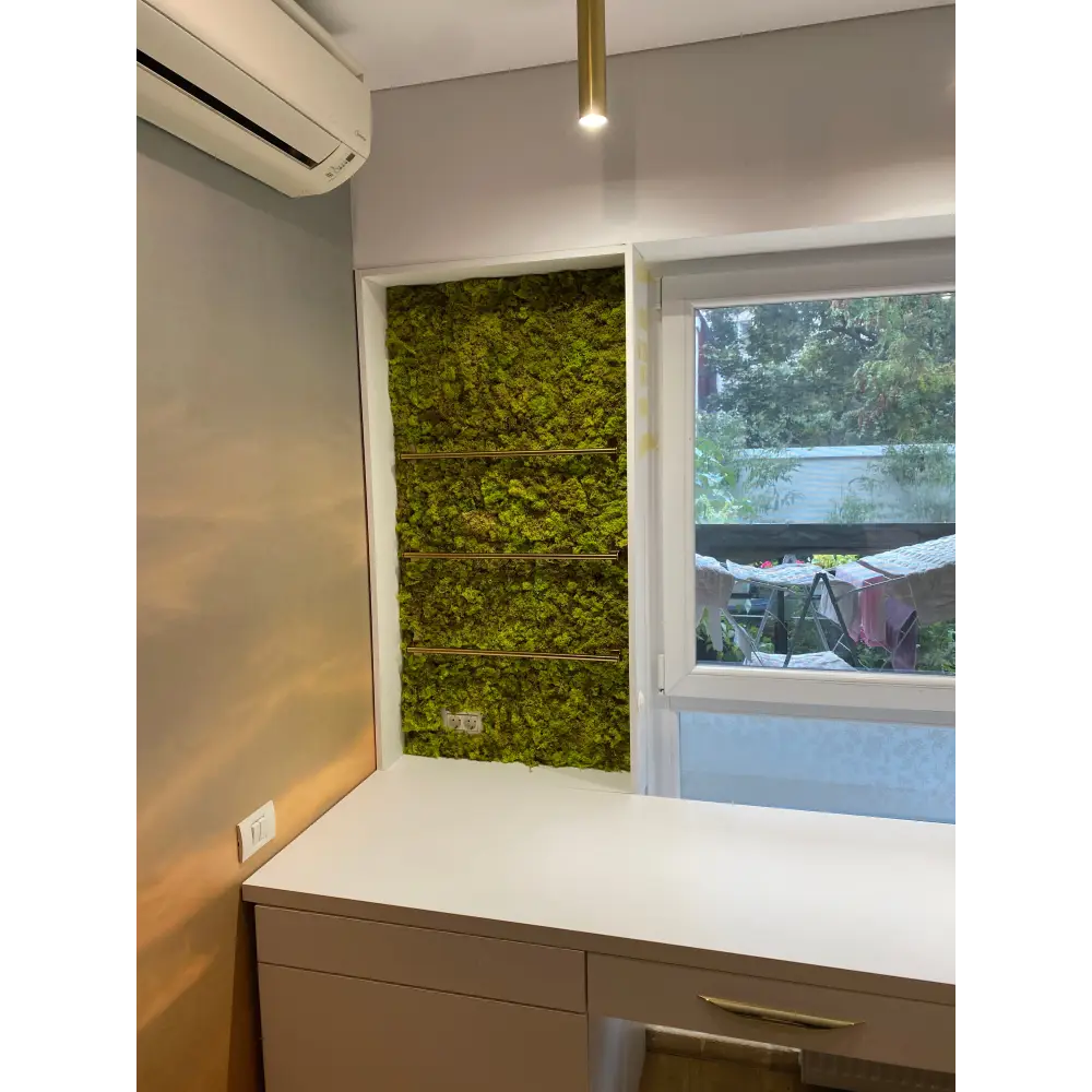 Panou decorativ cu licheni pentru perete și rafturi – Verde Natural și Modern