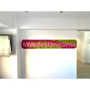 🌈 Panou decorativ cu licheni și logo personalizat