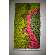 🌿 Panou decorativ cu licheni stabilizați roz – Design Vibrant 🌿
