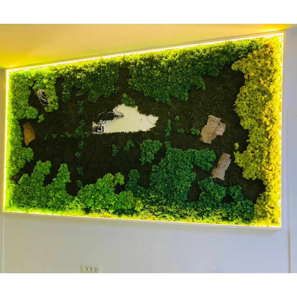 Panou decorativ din licheni si muschi stabilizați – Design cu iluminare LED perimetrala