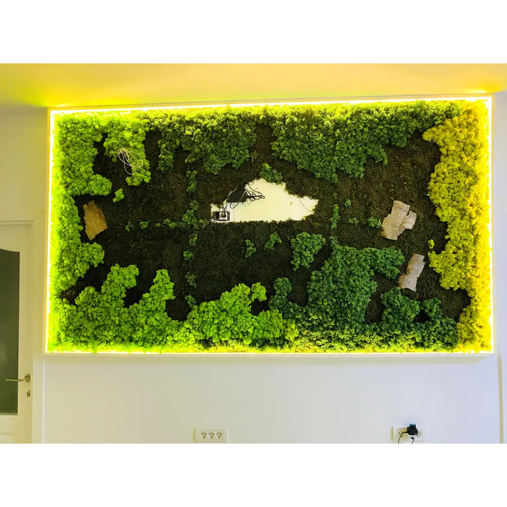 Panou decorativ din licheni si muschi stabilizați – Design cu iluminare LED perimetrala