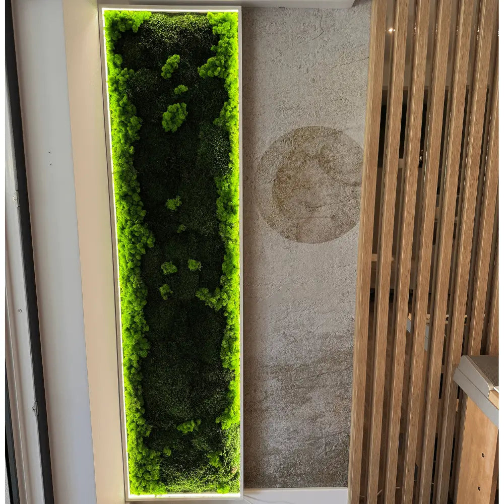 Panou decorativ din licheni stabilizați cu iluminare LED | Design modern pentru interior