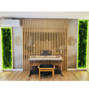 Panou decorativ din licheni stabilizați cu iluminare LED | Design modern pentru interior