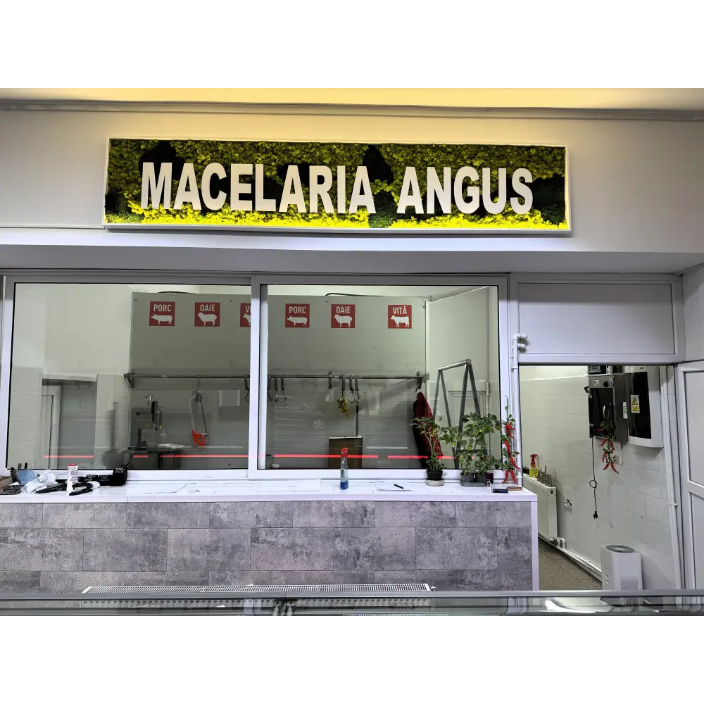 🌿 Panou decorativ personalizat cu licheni stabilizați – MACELARIA ANGUS 🌿
