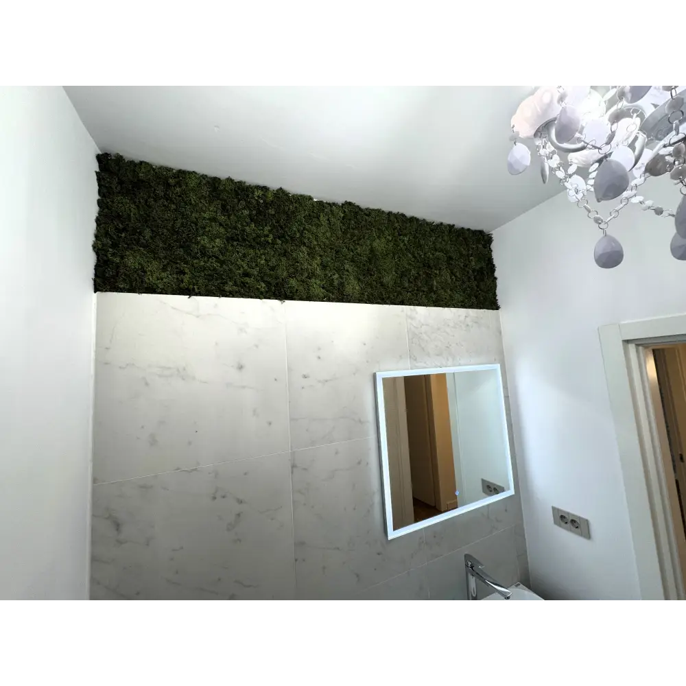 Decor natural din licheni deasupra oglinzii în baie