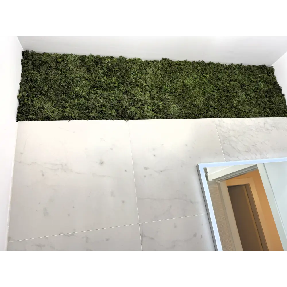 Bandă decorativă licheni stabilizați baie modernă
