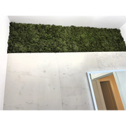 Bandă decorativă licheni stabilizați baie modernă
