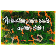Panou din licheni si muschi stabilizați cu mesaj educațional | Decor pentru Școli Grădinițe si Licee